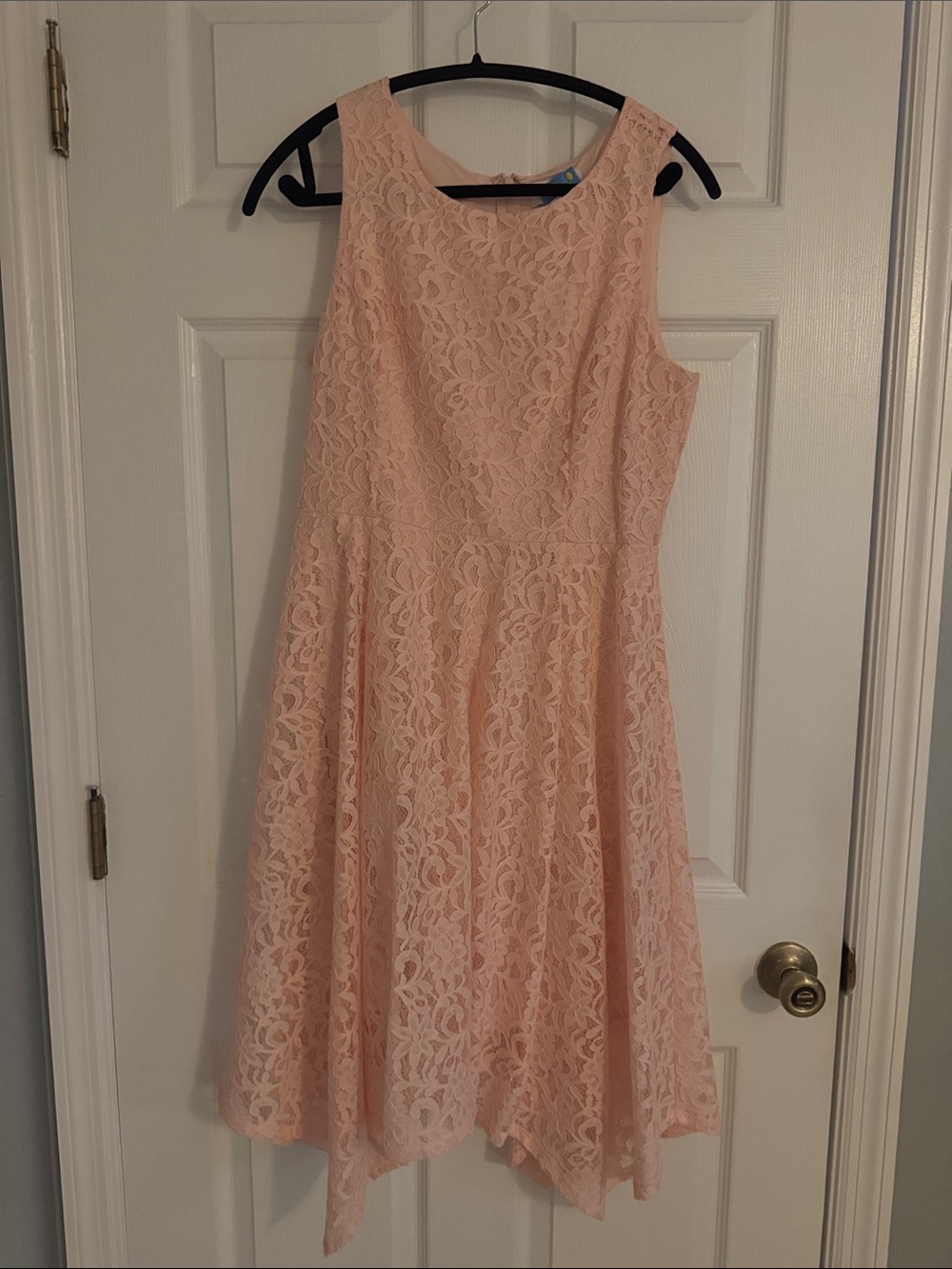 Elle Womans Sleeveless Lace Dress in Blush